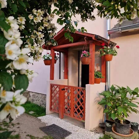 Strzyzowiec 80 Czernica (Jelenia Gora)