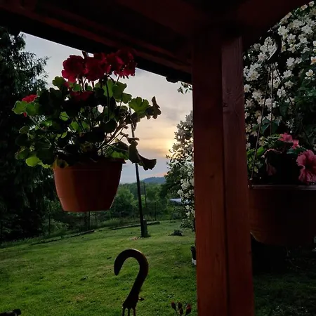 Daire Strzyzowiec 80 *