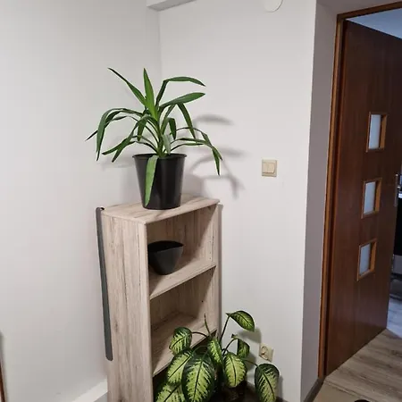 Strzyzowiec 80 דירה Czernica (Jelenia Gora)