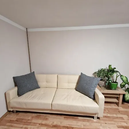 Strzyzowiec 80 *