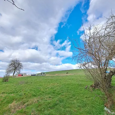 Strzyzowiec 80 Czernica (Jelenia Gora)