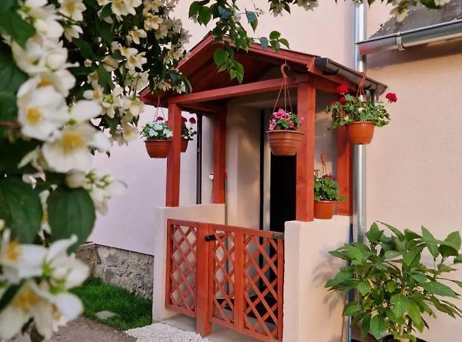 Strzyzowiec 80 Czernica (Jelenia Gora)