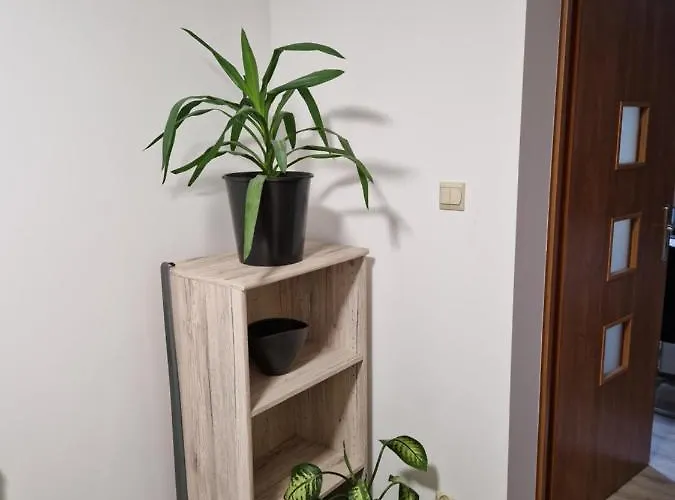 Strzyzowiec 80 Apartment Czernica (Jelenia Gora)