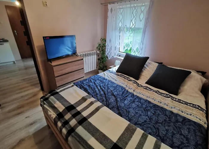 Apartment Strzyzowiec 80 *